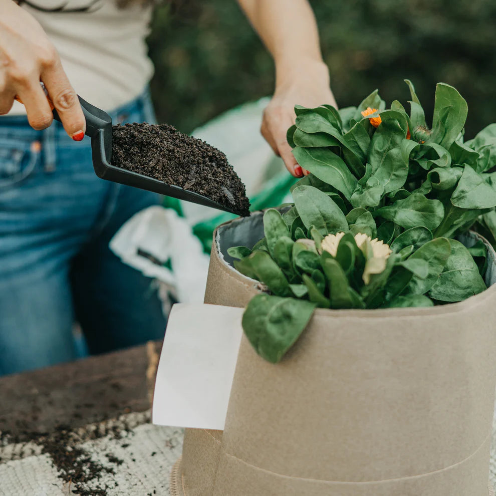 Living Soil Patio Kit