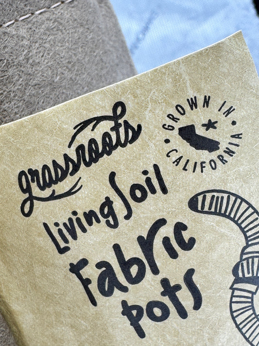 Rhizo Pot without Nutrients: The Complete Growing Ecosystem for Professional Cultivators