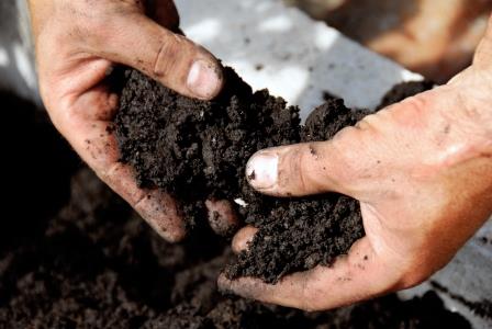 Rhizo Logic™ Living Soil 5gal