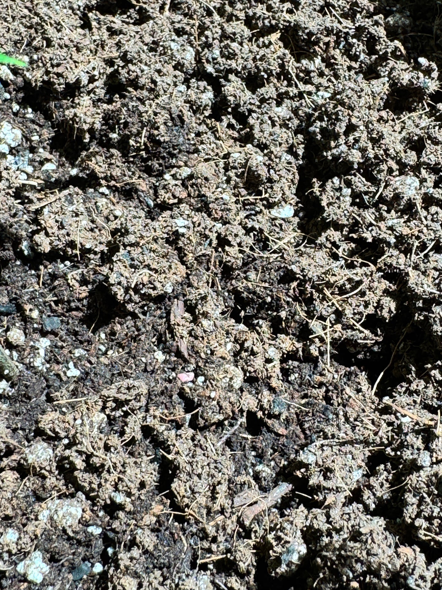 Rhizo Pot without Nutrients: The Complete Growing Ecosystem for Professional Cultivators
